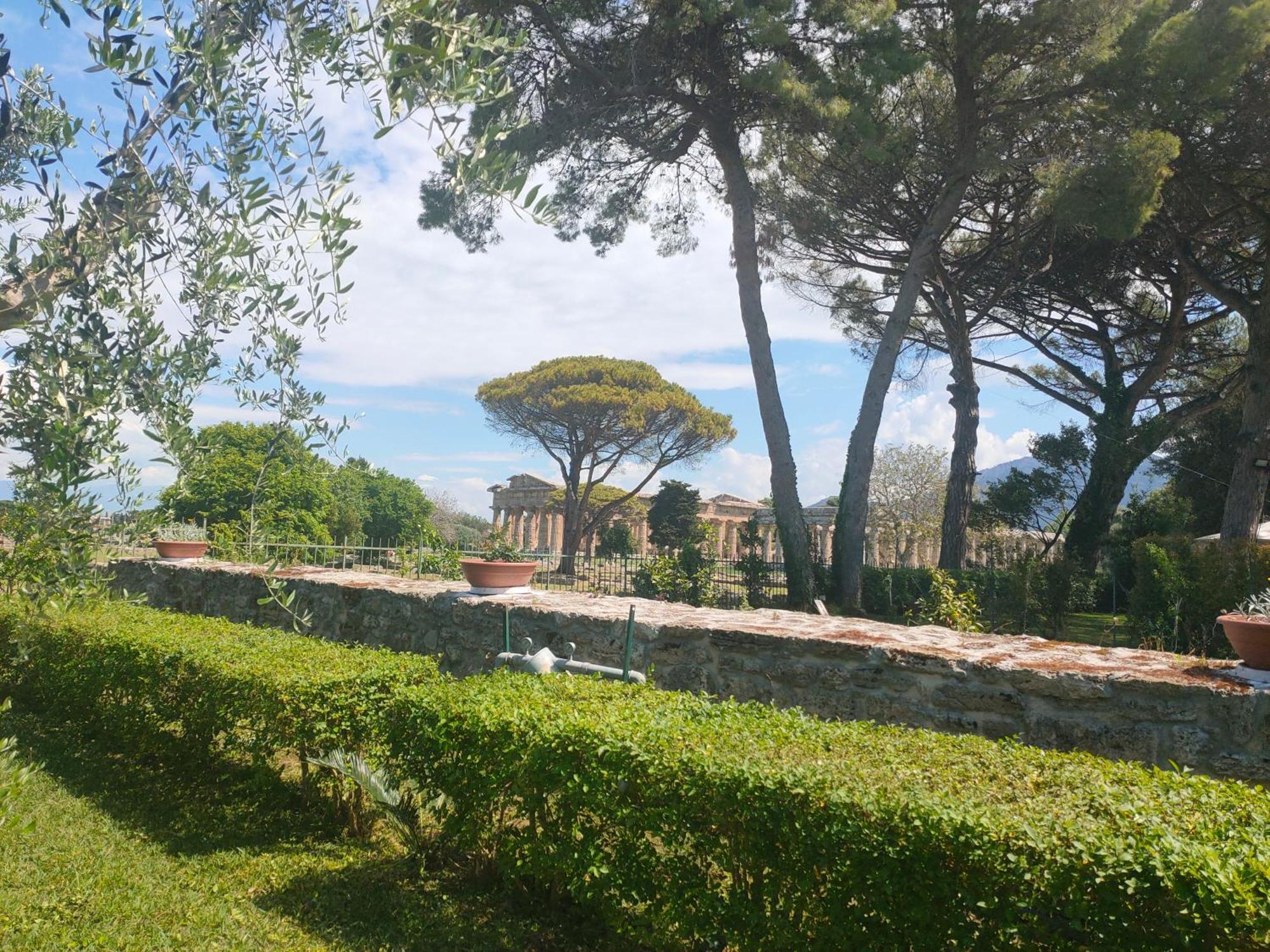 Il Giardino Di Athena 1 Apartment เพสตุม ภายนอก รูปภาพ