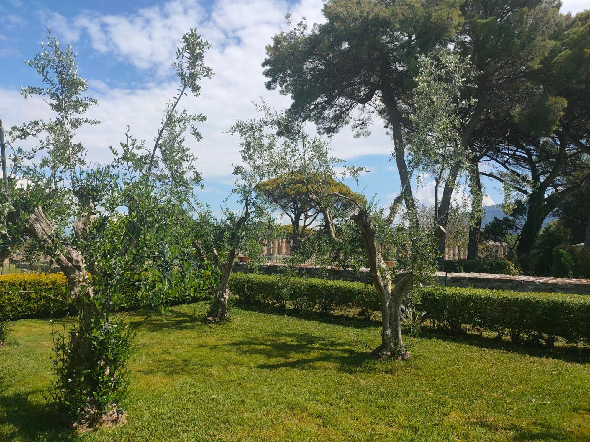 Il Giardino Di Athena 1 Apartment เพสตุม ภายนอก รูปภาพ