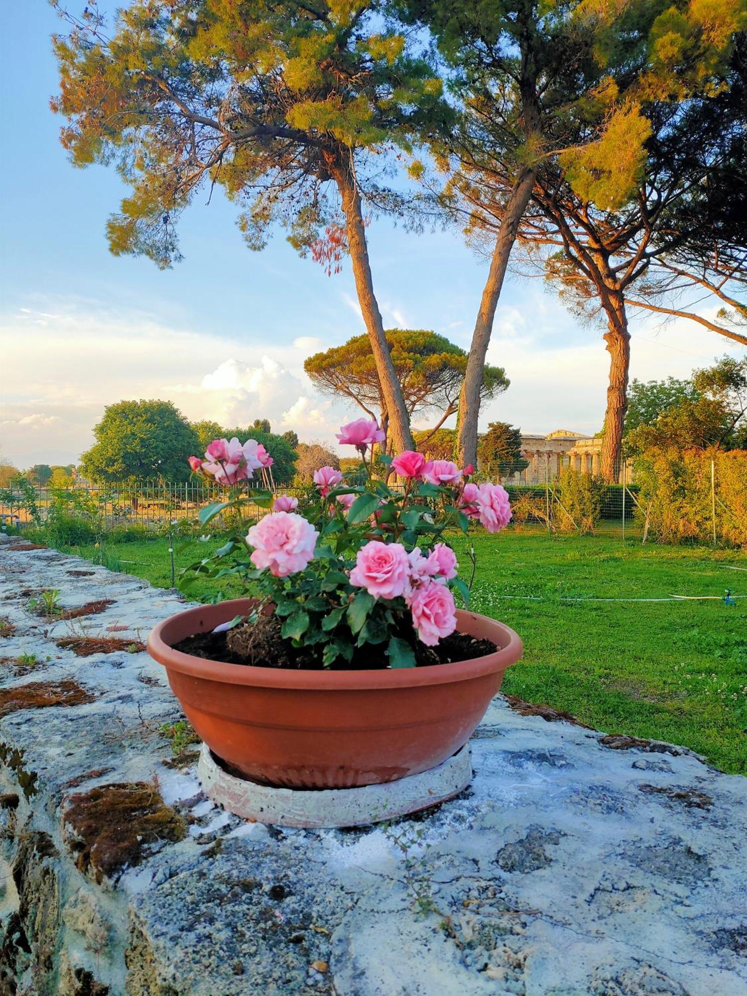 Il Giardino Di Athena 1 Apartment เพสตุม ภายนอก รูปภาพ